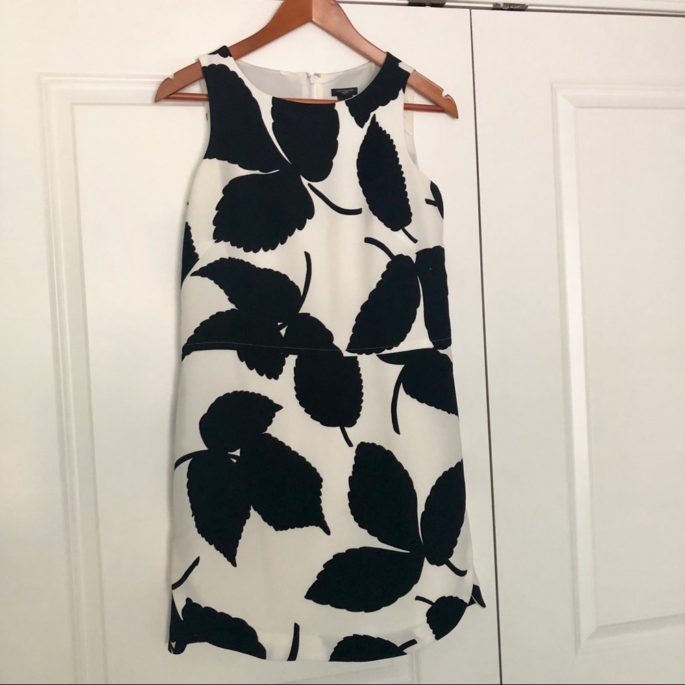 Ann Taylor Petite White and Black Dress size 4P